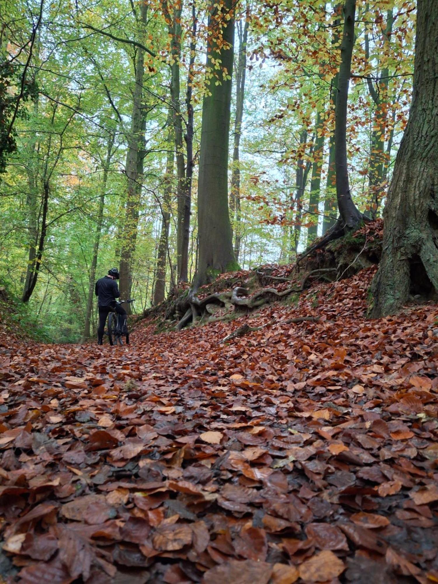 Op 't Roth * Oudenaarde